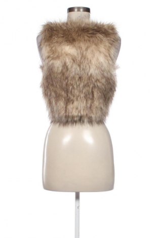 Damenweste H&M Divided, Größe S, Farbe Mehrfarbig, Preis € 13,99