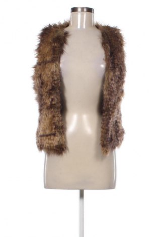 Női mellény Mossimo, Méret XS, Szín Sokszínű, Ár 7 819 Ft