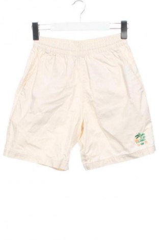 Damen Shorts Adidas Originals, Größe XS, Farbe Ecru, Preis € 13,99