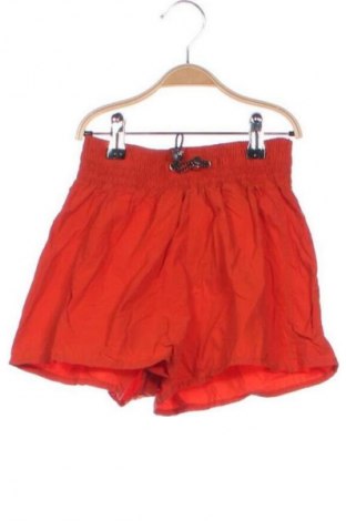 Damen Shorts Bershka, Größe XS, Farbe Rot, Preis € 12,00