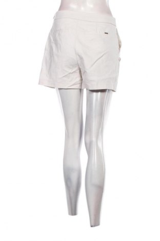 Damen Shorts Morgan, Größe S, Farbe Grau, Preis € 10,99