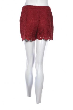 Γυναικείο κοντό παντελόνι Orsay, Μέγεθος M, Χρώμα Πολύχρωμο, Τιμή 10,00 €