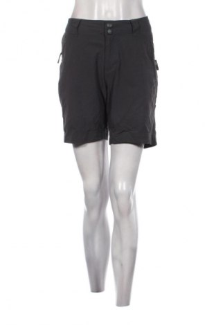 Damen Shorts The North Face, Größe L, Farbe Grau, Preis € 24,99