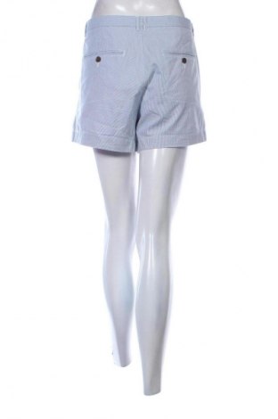 Γυναικείο κοντό παντελόνι Unbranded, Μέγεθος XL, Χρώμα Πολύχρωμο, Τιμή 10,99 €