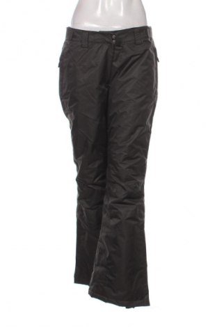 Дамски панталон за зимни спортове Active, Размер L, Цвят Сив, Цена 16,87 €