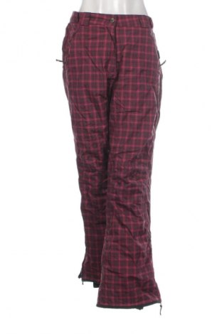 Damenhose für Wintersport Crane, Größe L, Farbe Mehrfarbig, Preis € 24,99