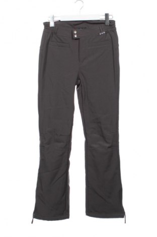 Дамски панталон за зимни спортове Janina, Размер L, Цвят Сив, Цена 15,84 €