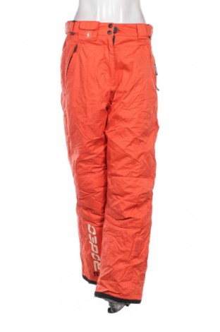 Damenhose für Wintersport Rodeo, Größe M, Farbe Mehrfarbig, Preis € 23,99