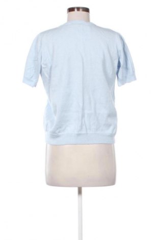 Damenpullover Caroll, Größe S, Farbe Blau, Preis € 31,65