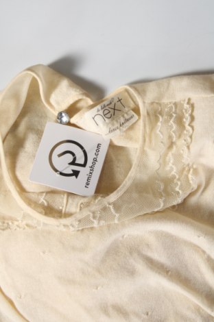 Damenpullover Next, Größe M, Farbe Ecru, Preis € 20,96