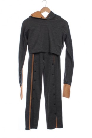 Damen Trainingsanzug Adda, Größe M, Farbe Grau, Preis € 55,00