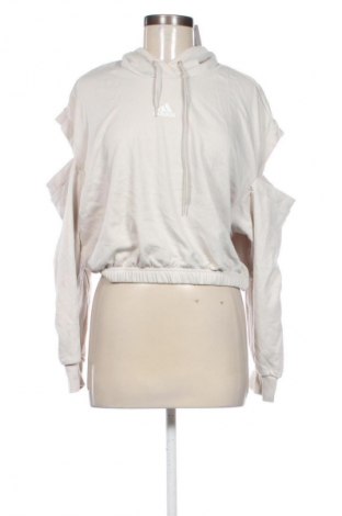 Damen Sweatshirt Adidas, Größe XS, Farbe Mehrfarbig, Preis € 32,99