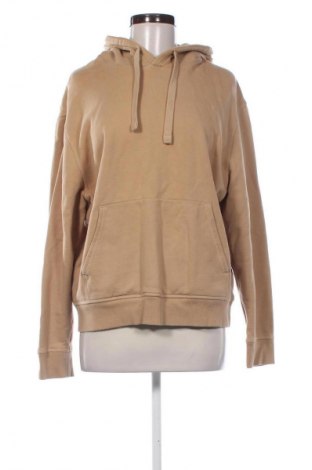 Damen Sweatshirt COS, Größe L, Farbe Beige, Preis 24,45 €