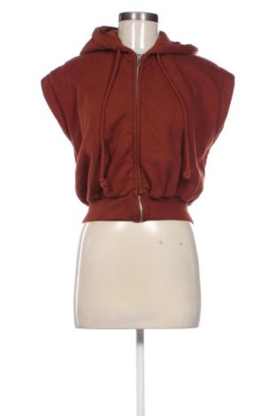 Damen Sweatshirt Zara, Größe M, Farbe Braun, Preis € 10,00