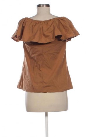 Damentop NEW COLLECTION, Größe M, Farbe Braun, Preis 13,81 €