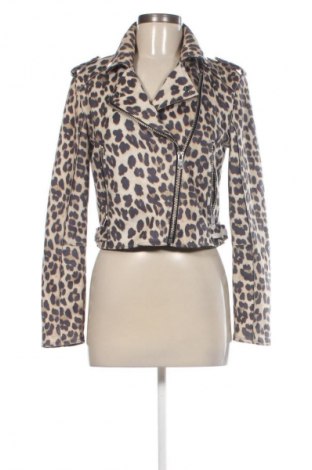 Damenjacke Clockhouse, Größe M, Farbe Mehrfarbig, Preis € 10,99