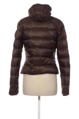 Damenjacke Jack Wolfskin, Größe S, Farbe Braun, Preis € 72,99