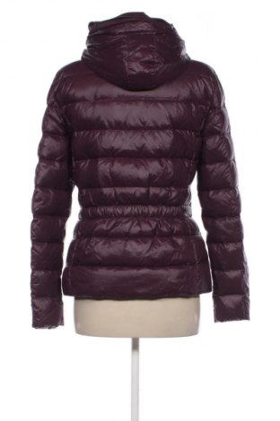 Női dzseki Joop!, Méret M, Szín Lila, Ár 57 851 Ft