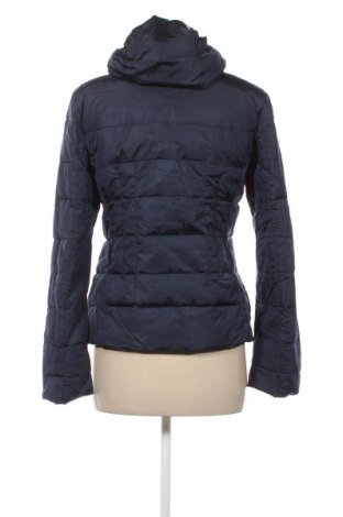 Γυναικείο μπουφάν Motivi, Μέγεθος S, Χρώμα Μπλέ, Τιμή 45,99 €