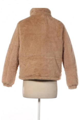 Damenjacke New Look, Größe S, Farbe Beige, Preis € 25,99