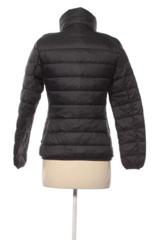 Damenjacke Save The Duck, Größe S, Farbe Schwarz, Preis 54,99 €