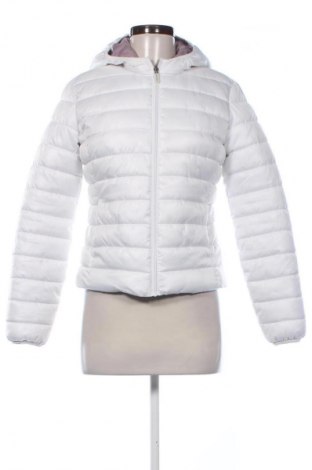 Damenjacke Terranova, Größe S, Farbe Weiß, Preis € 22,16