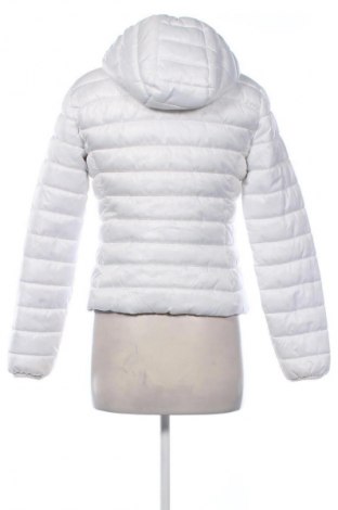 Damenjacke Terranova, Größe S, Farbe Weiß, Preis € 22,16