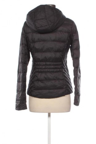 Damenjacke Tommy Hilfiger, Größe S, Farbe Schwarz, Preis 71,99 €