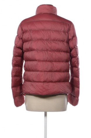 Damenjacke Uniqlo, Größe M, Farbe Aschrosa, Preis € 28,99