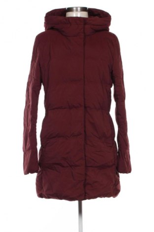 Damenjacke Uniqlo, Größe M, Farbe Rot, Preis 40,99 €