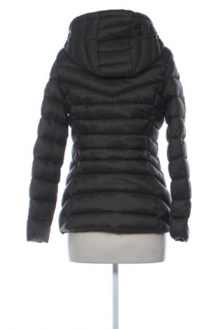 Damenjacke Warehouse, Größe S, Farbe Grün, Preis € 34,72