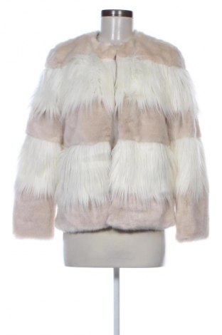 Damenjacke Zara, Größe S, Farbe Mehrfarbig, Preis € 21,00