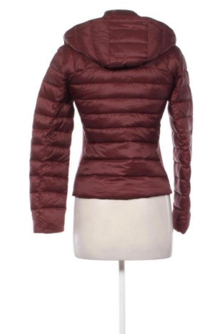 Damenjacke Zara, Größe S, Farbe Rot, Preis 17,99 €