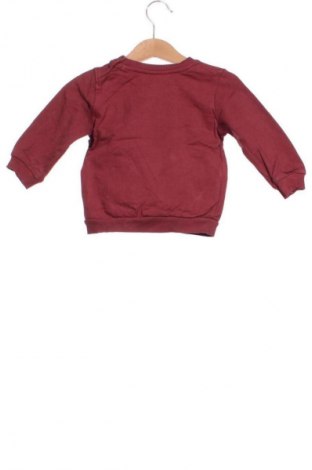 Детска блуза Ergee, Размер 9-12m/ 74-80 см, Цвят Многоцветен, Цена 6,00 €