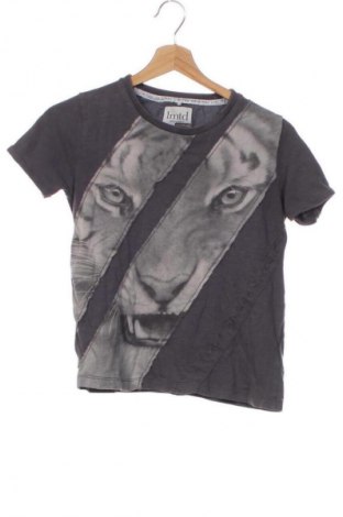 Kinder Shirt LMTD, Größe 8-9y/ 134-140 cm, Farbe Mehrfarbig, Preis 18,00 €