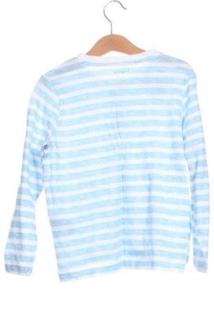 Παιδική μπλούζα Lupilu, Μέγεθος 6-7y/ 122-128 εκ., Χρώμα Πολύχρωμο, Τιμή 6,00 €