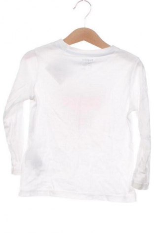 Детска блуза Lupilu, Размер 2-3y/ 98-104 см, Цвят Многоцветен, Цена 6,00 €