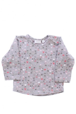 Kinder Shirt Mexx, Größe 3-6m/ 62-68 cm, Farbe Mehrfarbig, Preis 12,00 €