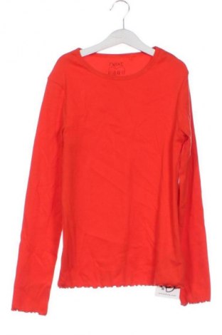 Kinder Shirt Next, Größe 11-12y/ 152-158 cm, Farbe Orange, Preis 11,76 €
