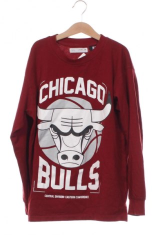 Kinder Shirt Zara, Größe 10-11y/ 146-152 cm, Farbe Rot, Preis € 12,00