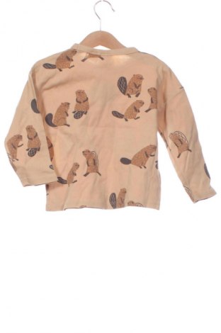 Kinder Shirt Zara, Größe 18-24m/ 86-98 cm, Farbe Mehrfarbig, Preis € 12,00