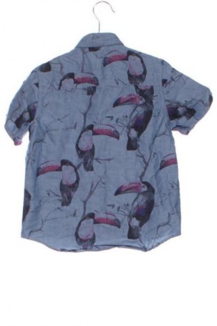 Детска риза Next, Размер 3-4y/ 104-110 см, Цвят Многоцветен, Цена 11,70 €