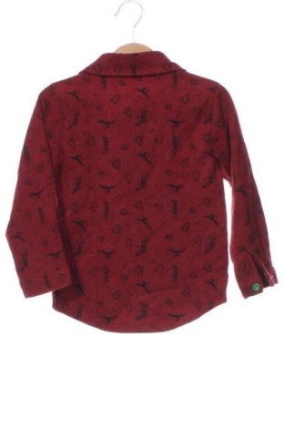 Kinderhemd Unbranded, Größe 2-3y/ 98-104 cm, Farbe Mehrfarbig, Preis 4,99 €