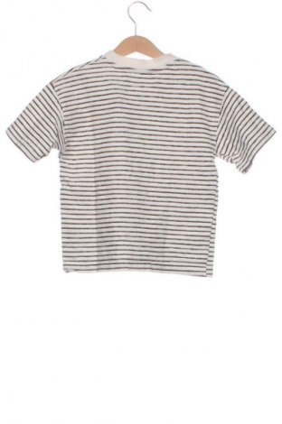 Kinder T-Shirt Zara, Größe 6-7y/ 122-128 cm, Farbe Mehrfarbig, Preis 6,00 €