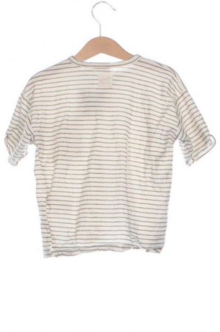 Kinder T-Shirt Zara, Größe 2-3y/ 98-104 cm, Farbe Mehrfarbig, Preis 6,00 €