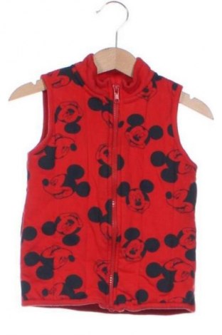 Dětská vesta  Disney, Velikost 18-24m/ 86-98 cm, Barva Vícebarevné, Cena  312,00 Kč