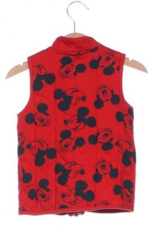 Dětská vesta  Disney, Velikost 18-24m/ 86-98 cm, Barva Vícebarevné, Cena  312,00 Kč