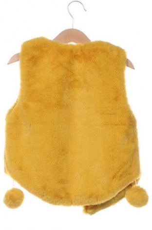 Dětská vesta  Unbranded, Velikost 6-7y/ 122-128 cm, Barva Žlutá, Cena  312,00 Kč