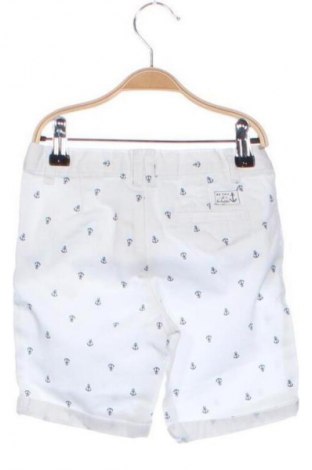 Παιδικό κοντό παντελόνι Carter's, Μέγεθος 5-6y/ 116-122 εκ., Χρώμα Πολύχρωμο, Τιμή 7,09 €