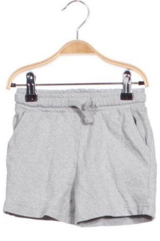 Kinder Shorts Sinsay, Größe 2-3y/ 98-104 cm, Farbe Grau, Preis 7,10 €